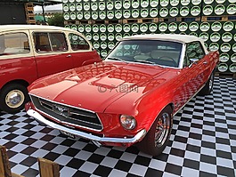 福特,野馬,oldtimer
