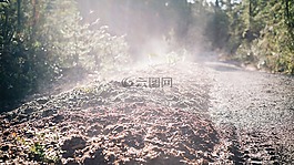 土壤,蒸汽,熱