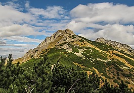 首腦會議,山,返回頁首