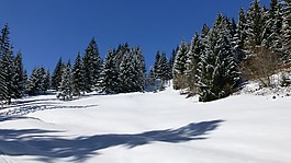 阿爾高,冬天,雪