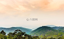森林,山,天空