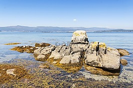 海岸,巖,arousa 島