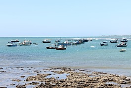 小船,捕魚,漁民