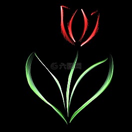 郁金香,紅色,光明