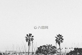 海港,船,帆船