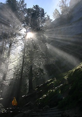 优胜美地,自然,徒步旅行