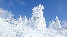 雪,冬季,冷