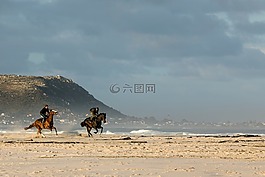 海灘,馬匹,賽車