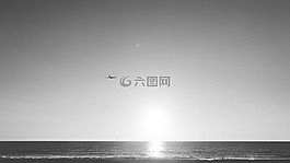 飛機(jī),旅行,日落