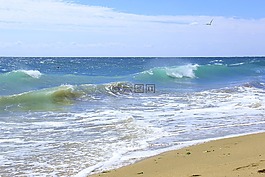海,海浪,海灘
