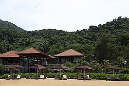 越南,海灘,假日法