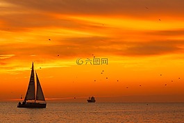 海,海洋,水