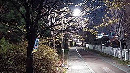 村,晚上,街