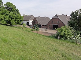 荷蘭,景觀,房子