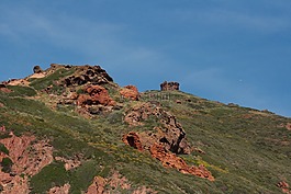 科西嘉,景觀,性質(zhì)