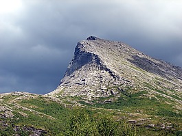 瑞士,景观,山