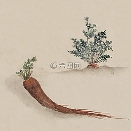 水彩,藝術(shù),畫