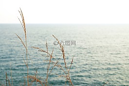 海,海洋,藍(lán)色