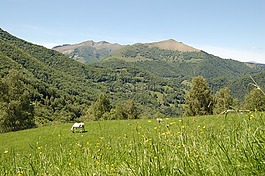 牧场,山,性质
