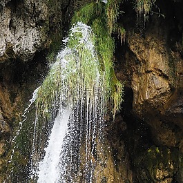 性質(zhì),普利特維切湖,國家公園