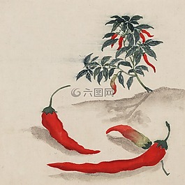 水彩,藝術(shù),畫