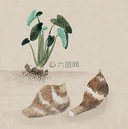 水彩,藝術(shù),畫