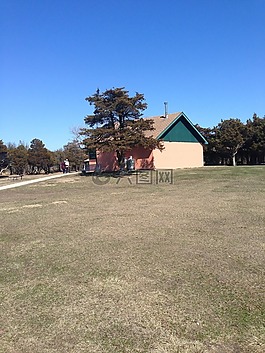 谷倉,農場,牛角
