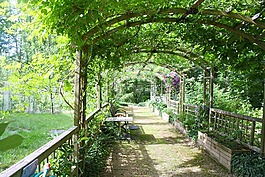 綠化帶,陰暗的步行,花園步行