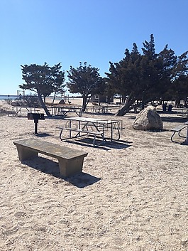海灘,海,野餐
