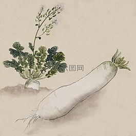 水彩,藝術(shù),畫