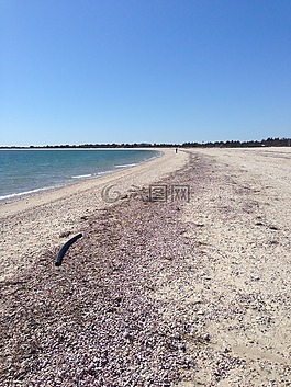 海灘,海,外殼