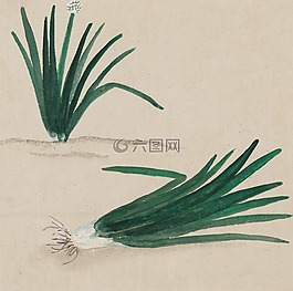 水彩,藝術(shù),畫