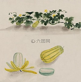 水彩,藝術(shù),畫