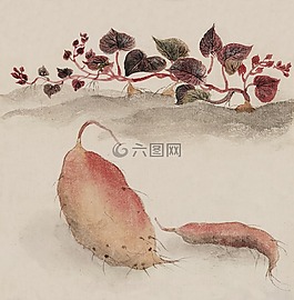 水彩,藝術(shù),畫