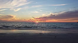 海灘,日落,海洋