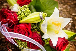 結(jié)婚戒指,婚禮,環(huán)