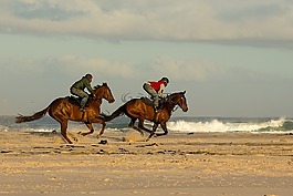 海灘,馬匹,賽車