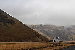 高原,樹,植物