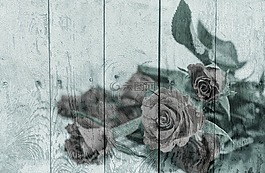 年份,鄉(xiāng)間別墅,懷舊