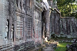 老,結(jié)構(gòu),旅行