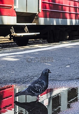 波蘭,火車站,火車
