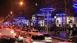 巴黎,champselisee,動物的肺