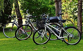 自行車,循環(huán),輪