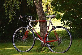 自行車,循環(huán),輪