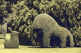 公園,樹,草