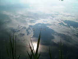 反射,水,甘蔗