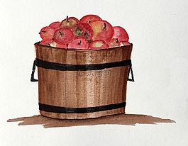 水果,蘋果,桶