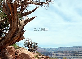 峽谷,性質(zhì),大峽谷