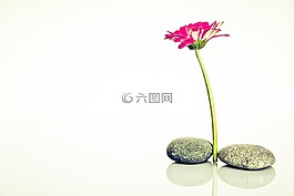 健康,保佑你,和諧