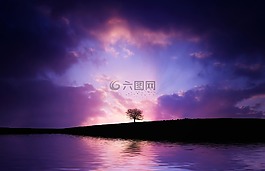 樹,湖,反思